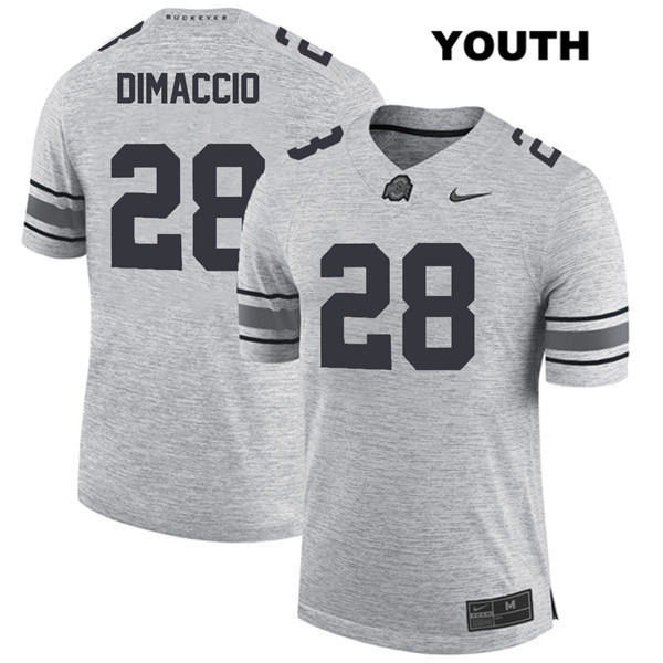 Ohio State Buckeyes Youth Dominic DiMaccio #28 Gray Authentic Nike College NCAA Stitched Football Jersey EF19W31WS